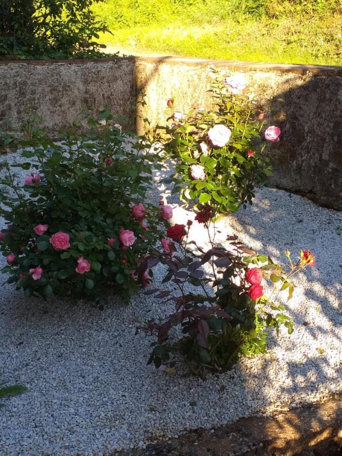 Maison Belvoir Le Fraysse Kültér fotó
